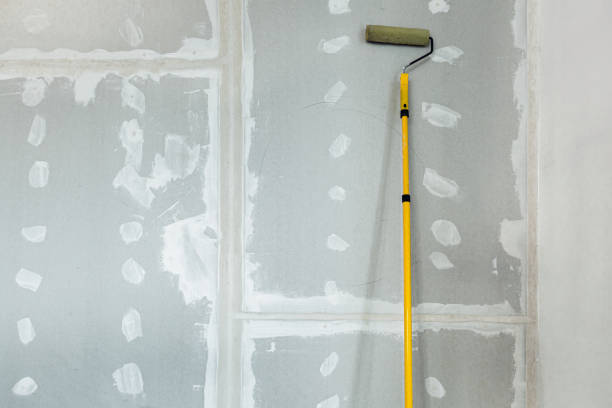 Best Post-Construction Mold Inspection  in Estacada, OR