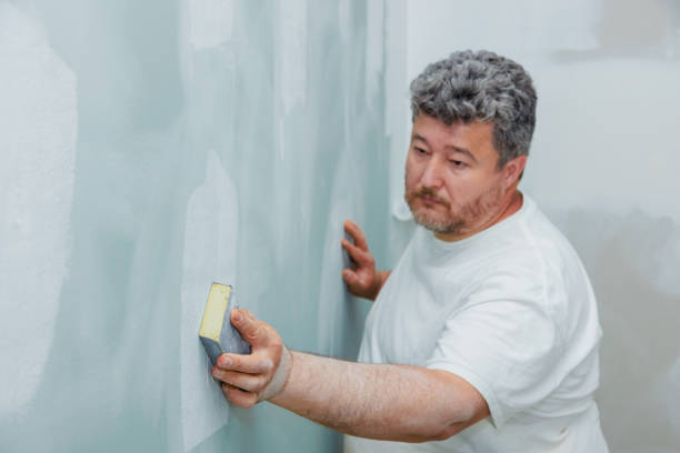 Best Mold Odor Removal Services  in Estacada, OR